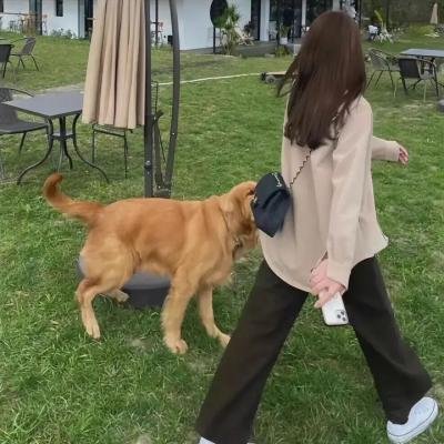 不死恋人